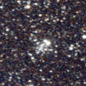Dragonfly Cluster