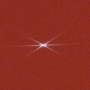 Procyon Focus Image